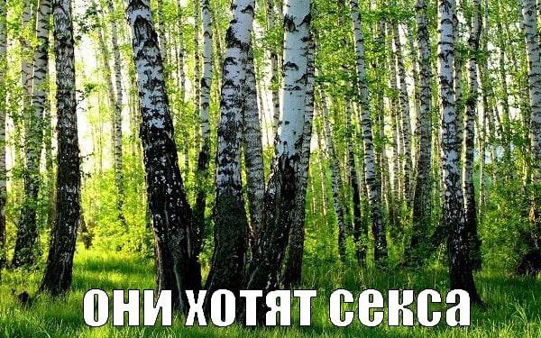 7 4 of они хотят секса