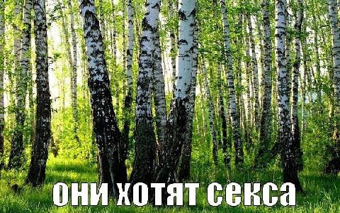 7 4 of они хотят секса