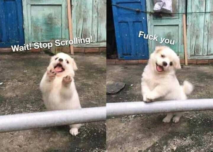 Sto