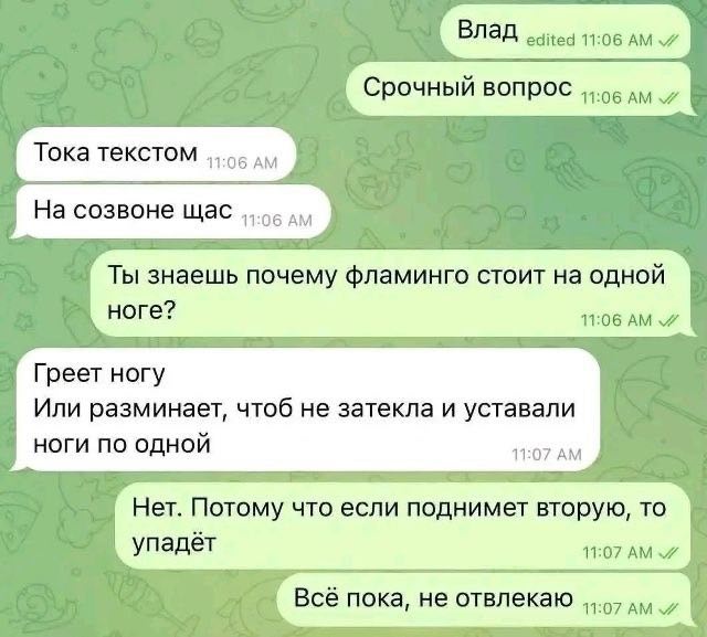 Влад edited 11:06 Срочный вопрос ayy Тока текстом На созвоне щас Ты знаешь почему фламинго стоит на одной ноге? 11:06 Греет ногу Или разминает, чтоб He затекла и уставали ноги по одной Нет. Потому что