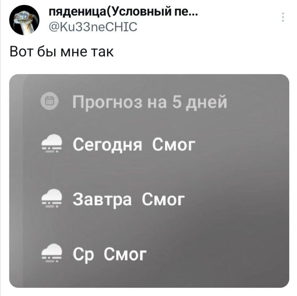пяденица(Условный @Ku33neCHIC Вот бы мне так Прогноз на 5 дней Сегодня Смог Завтра Смог Смог