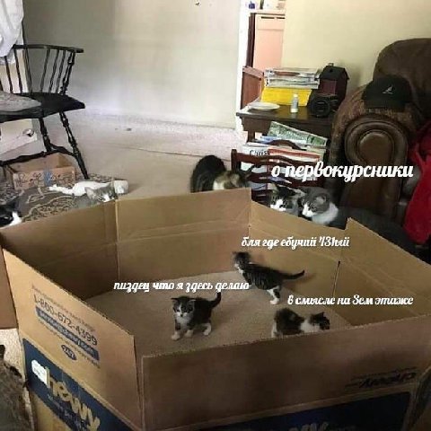 wae бля age едумий пиздец что я эдесь делаю 6 смысле на Зем этаже