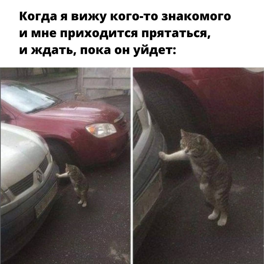Когда я вижу кого-то знакомого и мне приходится прятаться, и ждать, пока он уйдет: