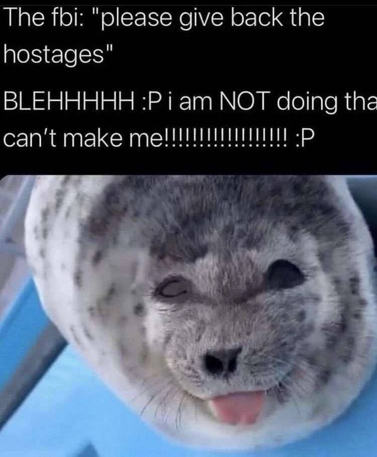 The fbi: "please give back the hostages" ВЕЕННННН NOT doing the can't make 8 Tis