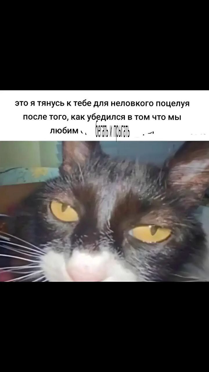 это я тянусь к тебе для неловкого поцелуя после того, как убедился В ТОМ ЧТО МЫ любим О А