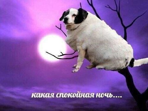 2 какая