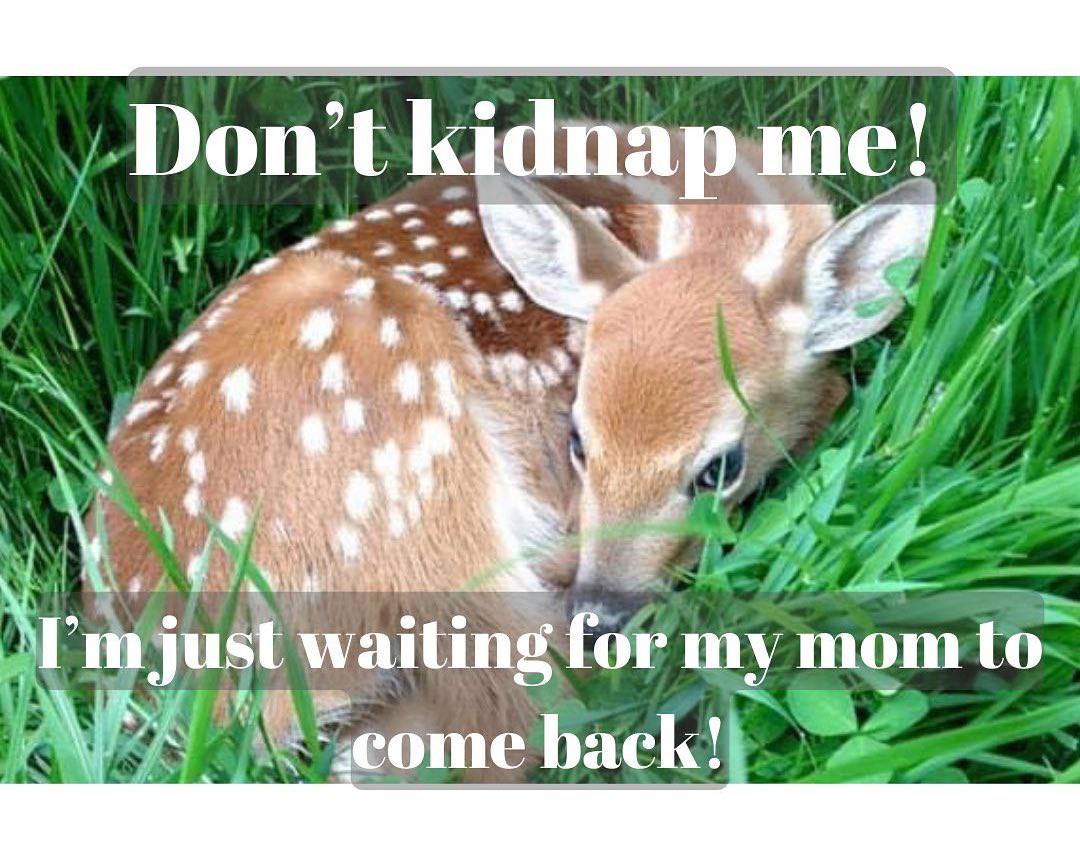 a у 9 if и waiting my mom ome back