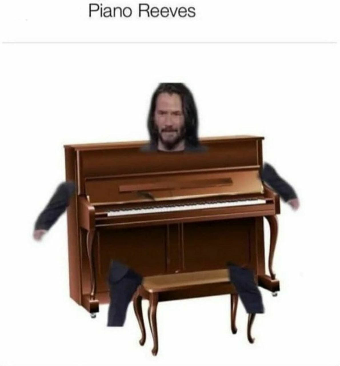 Piano Reeves