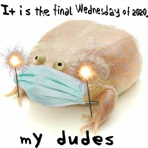 is the final of my