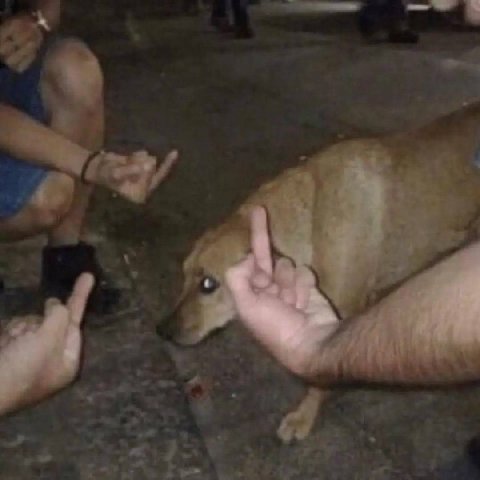 я хочу плакать с этой картинки всегда
