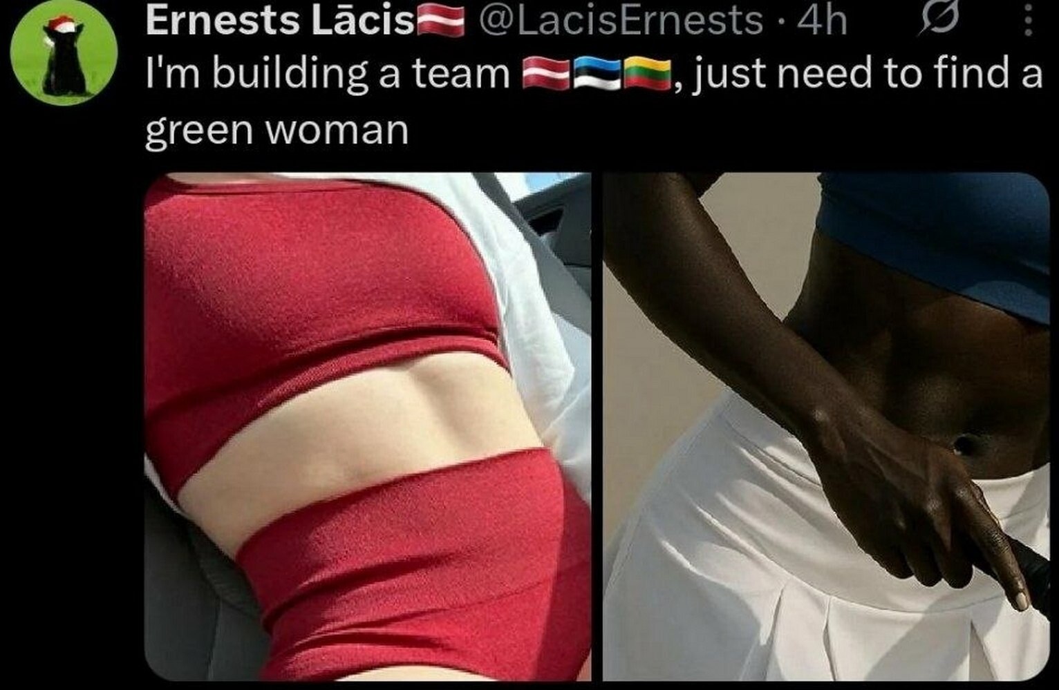 Ernests building a team just need to finda бгееп woman