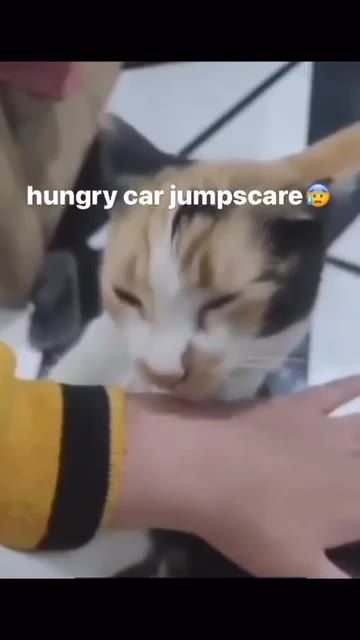 hungry car jumpscare