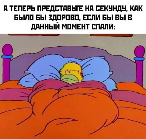 А ТЕПЕРЬ ПРЕДСТАВЬТЕ НА СЕКУНДУ, КАК БЫЛО БЫ ЗДОРОВО, ЕСЛИ БЫ ВЫ В ДАННЫЙ МОМЕНТ СПАЛИ: