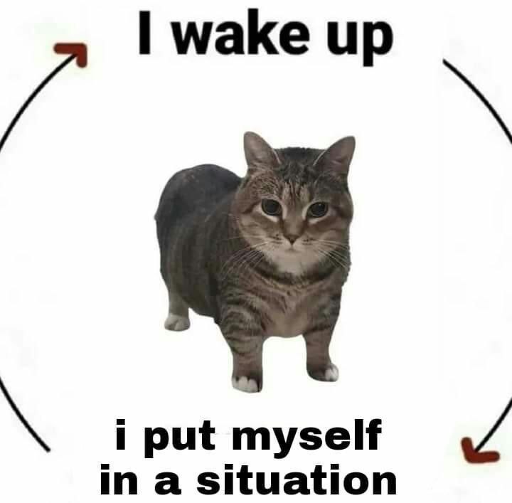 wake up in a situation put myself