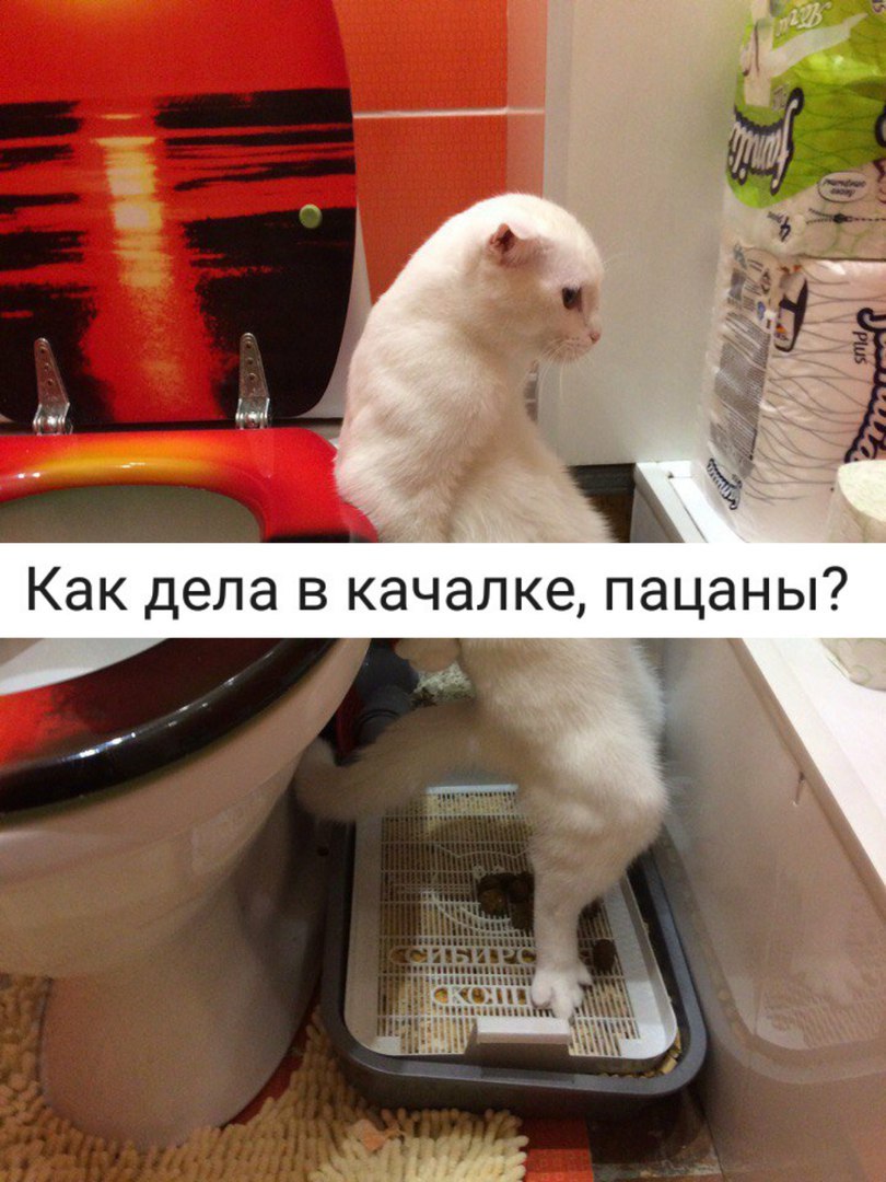 Как дела в качалке, пацаны?