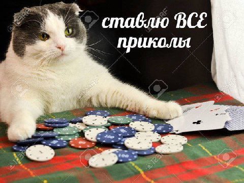 ставлю BCE приколы