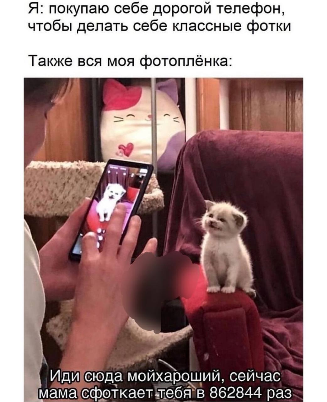 Я: покупаю себе дорогой телефон, чтобы делать себе классные фотки Также вся моя фотоплёнка: к 4 7 у Идисюда мойхароший, сейчас 862844 раз
