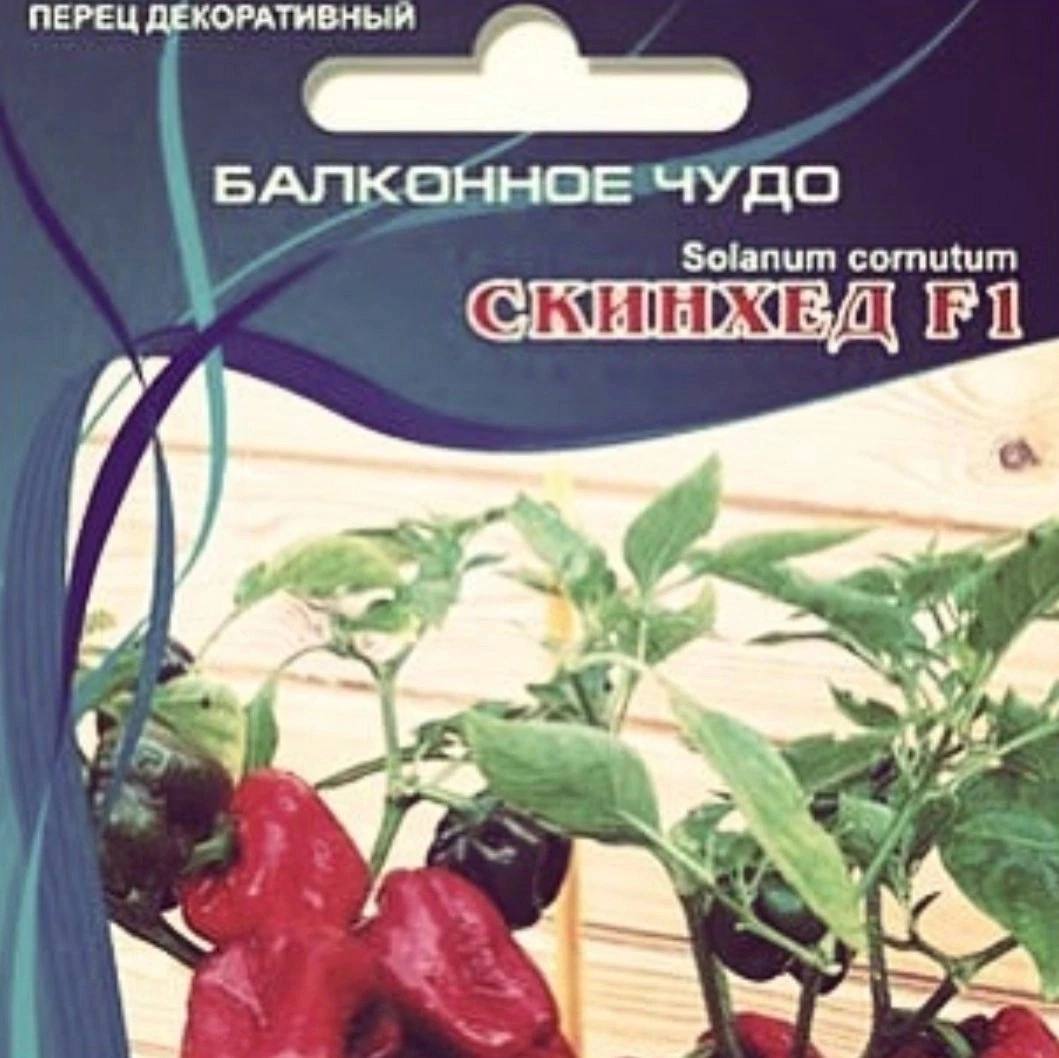 ПЕРЕЦ ДЕКОРА БАЛКОННОЕ ЧУДО Solanum cornutum 4 4 2 $75