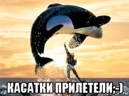КАСАТКИ ПРИЛЕТЕЛИ