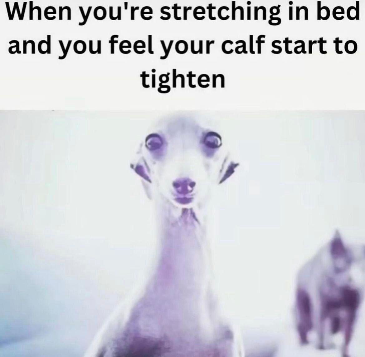 When you're stretching in bed and you feel your calf start to tighten