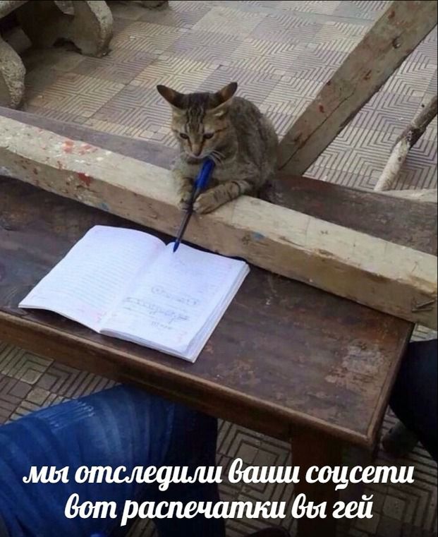 лия отследили ваиш соисети бот распечатки вы гей