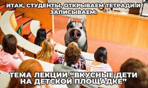 ИТАК, ЗАПИСЫВАЕМ: 5 >"ТЕМА “ВКУСНЫЕ, ЕТИ НА ПЛОЩАДКЕ”