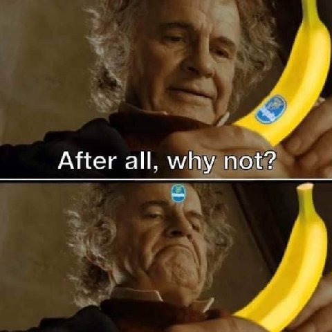 After all, why not?