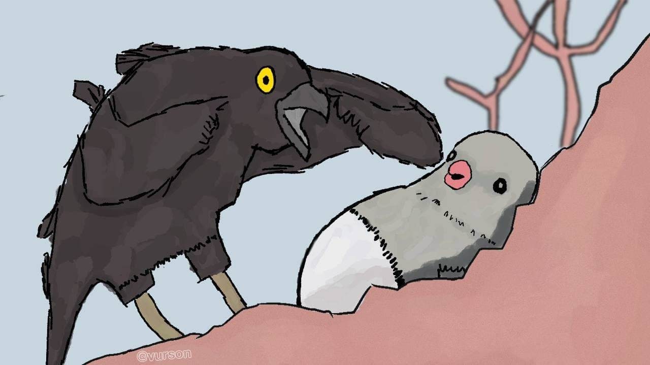 6,
