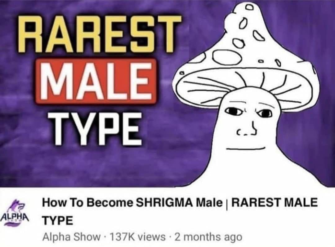 с MALE ТУРЕ How To Become SHRIGMA Male RAREST MALE a ТУРЕ Alpha Show views 2 months ago