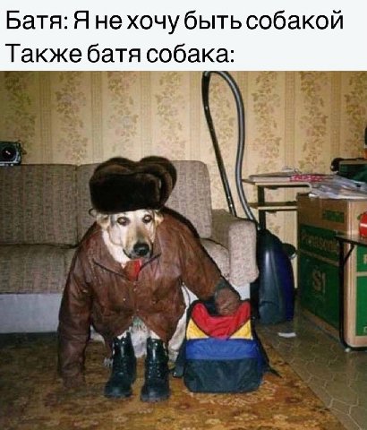Батя: Я нехочу быть собакой Также батя собака: