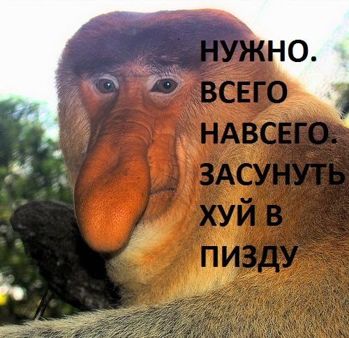 О we