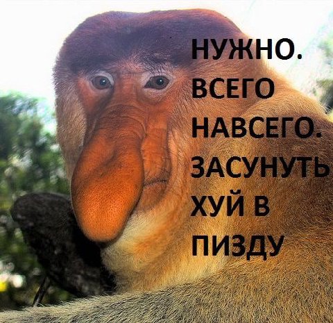 О we