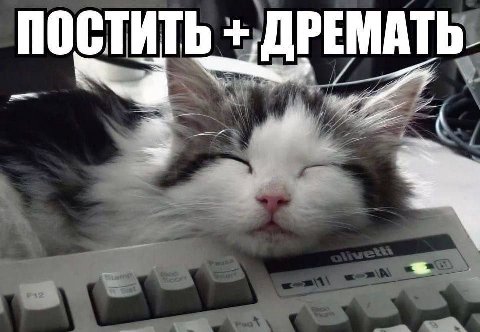 ПОСТИТЬ ДРЕМАТЬ.
