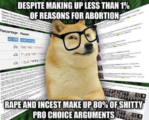 DESPITE MAKING UP LESS THAN 1% OF REASONS FOR ABORTION 6 on Vict a= RAPE AND INCEST MAKE UP 80% OF.SHITTY a PRO CHOICE ARGUMENTS