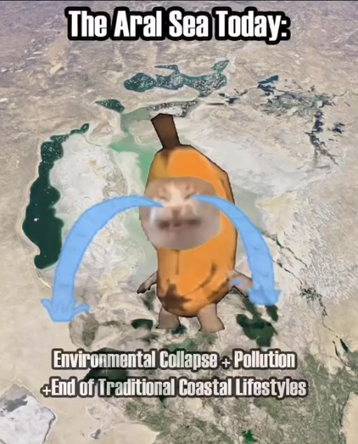 a Cotton Farmers Largest Cotton Expor-ter, 1988) > Тав’Ага! Зва Тобау: = Environmental Collapse+ Pollition’, “aa End! ofj{rauitional Coastal Lifestyles!»