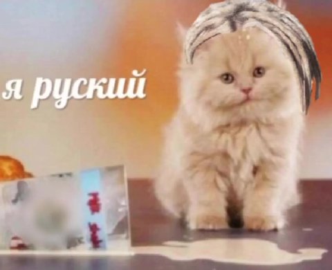 мем