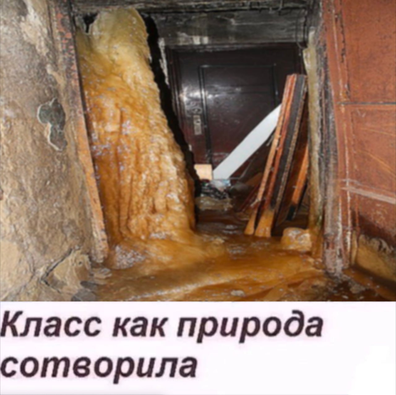 3 асс как природа отворила