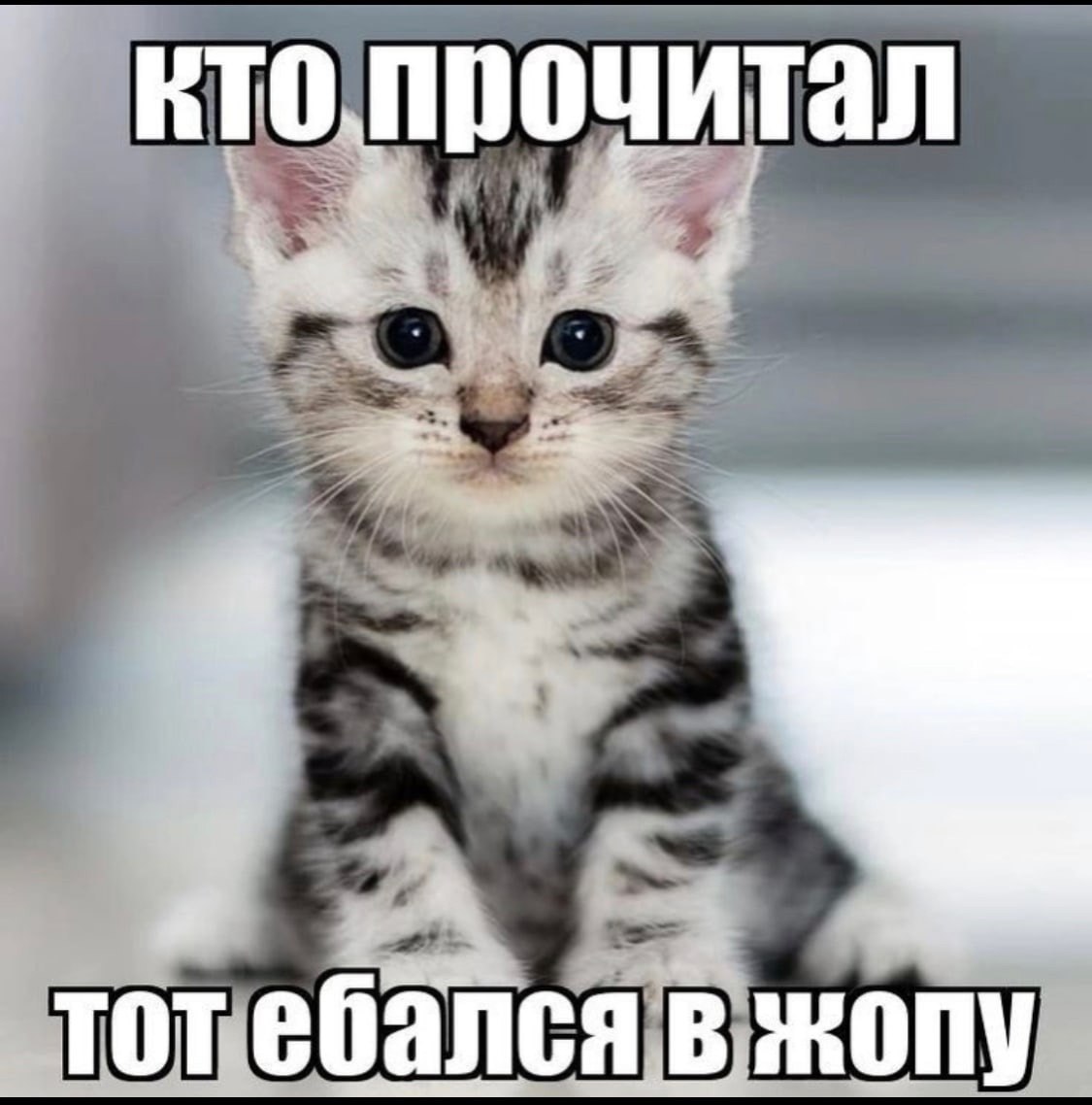 кто прочитал тот ебался в жопу