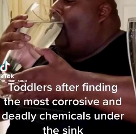 К\ок Toddlers after finding the most corrosive and deadly chemicals under the sink