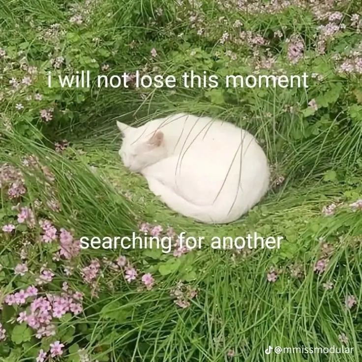 searching-for another