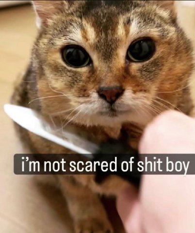 scared of shit