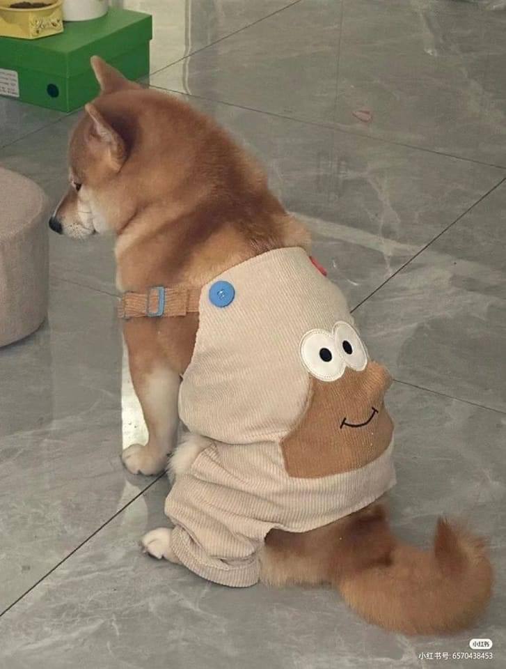 i Я у 7 “a. А за я о к 4 у 4 a
