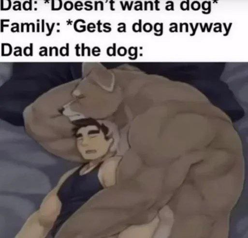 wag: шоезп want a а 09 Family: *Gets a dog anyway Dad and the dog: