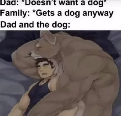 wag: шоезп want a а 09 Family: *Gets a dog anyway Dad and the dog: