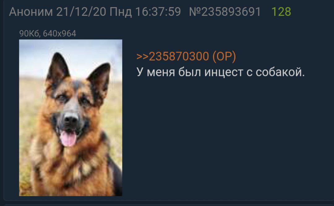 Аноним 21/12/20 Пнд 16:37:59 №235893691 128 >>235870300 У меня был инцест с собакой