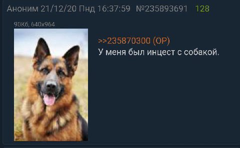 Аноним 21/12/20 Пнд 16:37:59 №235893691 128 >>235870300 У меня был инцест с собакой