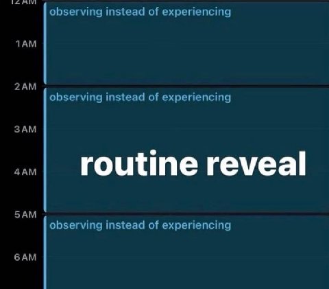 observing instead of experiencing observing instead of experiencing routine reveal observing instead of experiencing