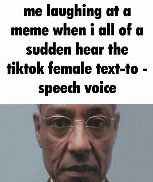 me laughing at a meme when i all of a sudden hear the tiktok female text-to speech voice