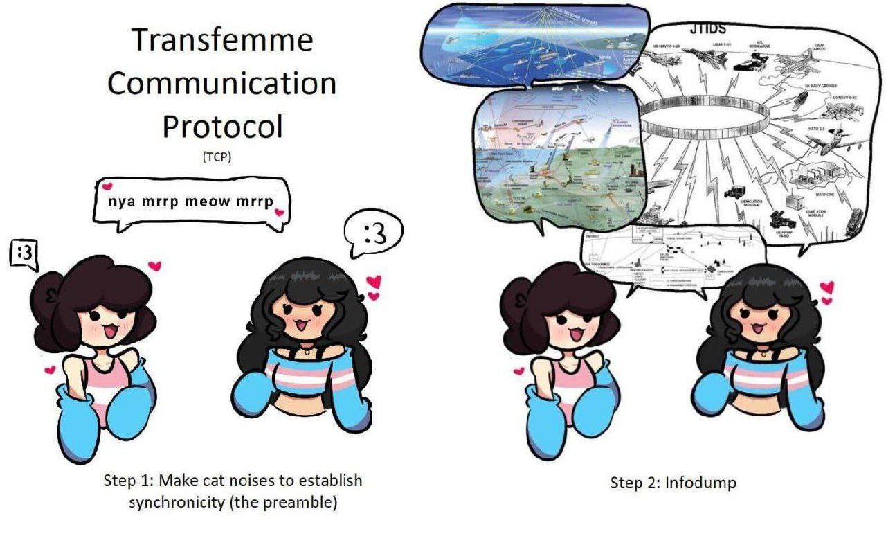 Transfemme Communication 4 Protocol (ТСР) he 3 я ATI Step 1: Make cat noises to establish Step 2: Infodump synchronicity (the preamble)