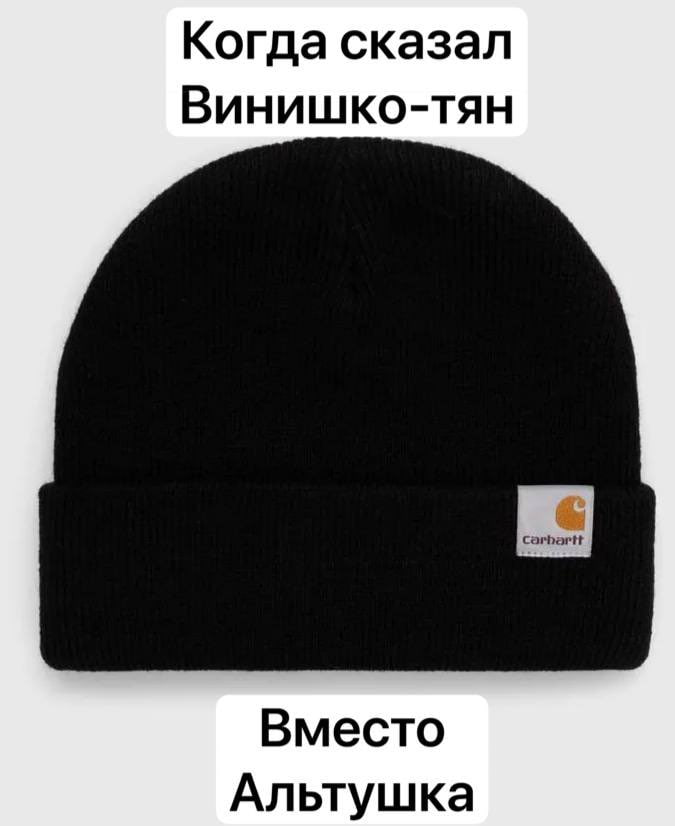 Когда сказал Винишко-тян Вместо Альтушка